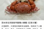 买海鲜混入毒蟹险酿大祸 螃蟹季食鲜小心这些海洋“毒物”